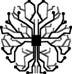 ReinBrain